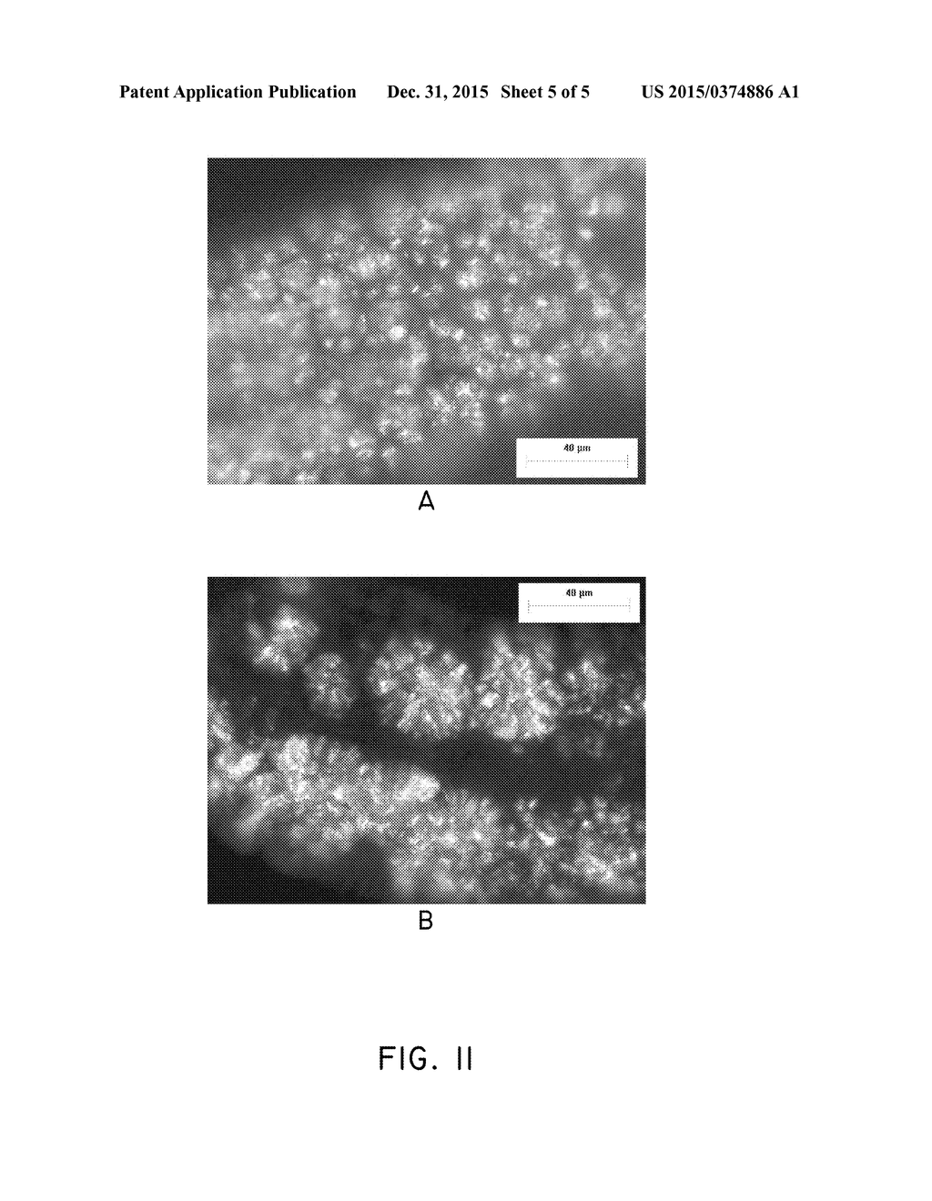 COATINGS WITH CRYSTALLIZED ACTIVE AGENT(S) AND METHODS - diagram, schematic, and image 06