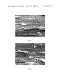 CROSSLINKED CELLULOSIC MEMBRANES diagram and image