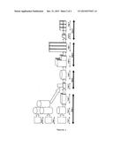 Building Method to Produce Lightweight Building Blocks from Cellulose     Fibre diagram and image