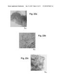 Nanomaterials and Process for Making the Same diagram and image