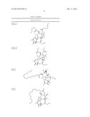 Compositions and methods of use of Phorbol Esters for treatment of stroke diagram and image