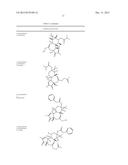 Compositions and methods of use of Phorbol Esters for treatment of stroke diagram and image