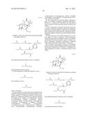 Compositions and methods of use of Phorbol Esters for treatment of stroke diagram and image