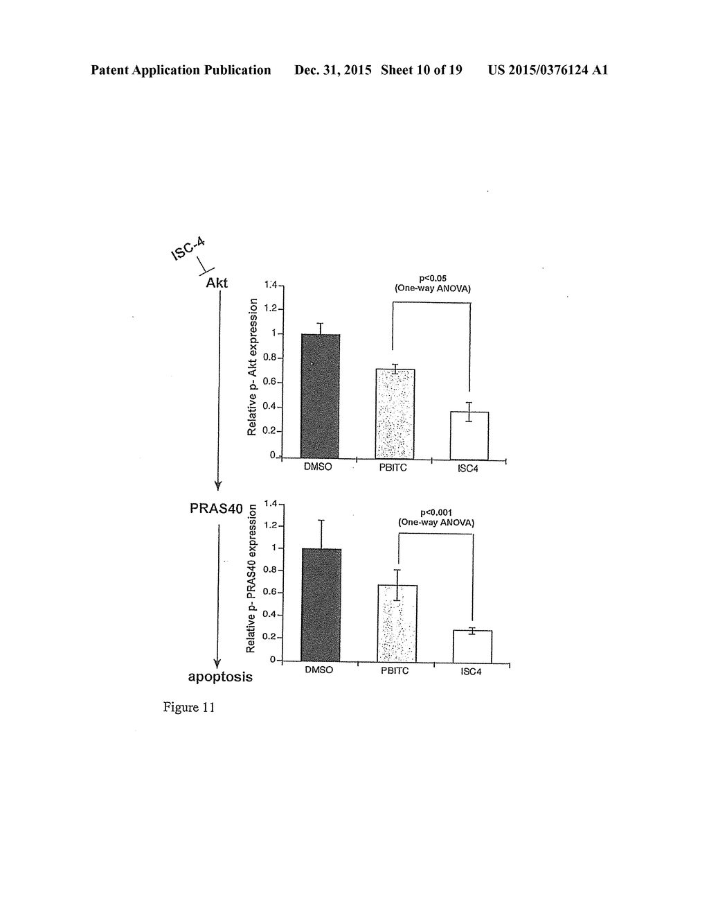 ANTI-CANCER COMPOSITIONS AND METHODS - diagram, schematic, and image 11