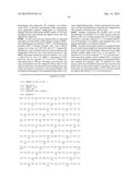 N1-PYRAZOLOSPIROKETONE ACETYL-CoA CARBOXYLASE INHIBITORS diagram and image