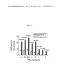 PHOSPHOLIPID COMPOUND CONTAINING UNSATURATED FATTY ACID DERIVATIVE HAVING     CYCLOPROPANE RING diagram and image