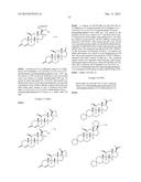 NOVEL COMPOUNDS OF 11BETA-HYDROXY-STEROIDS FOR USE IN MITOCHONDRIA     BIOGENESIS AND DISEASES ASSOCIATED WITH MITOCHONDRIAL DYSFUNCTION OR     DEPLETION diagram and image