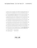 USE OF P3 OF BACTERIOPHAGE FUSION PROTEINS AS AMYLOID BINDING AGENTS diagram and image