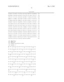 USE OF P3 OF BACTERIOPHAGE FUSION PROTEINS AS AMYLOID BINDING AGENTS diagram and image