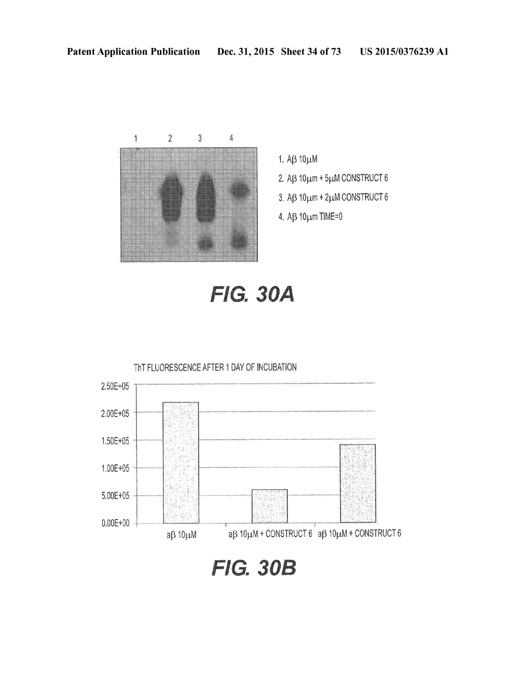 USE OF P3 OF BACTERIOPHAGE FUSION PROTEINS AS AMYLOID BINDING AGENTS - diagram, schematic, and image 35