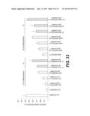 USE OF P3 OF BACTERIOPHAGE FUSION PROTEINS AS AMYLOID BINDING AGENTS diagram and image