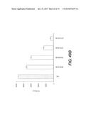 USE OF P3 OF BACTERIOPHAGE FUSION PROTEINS AS AMYLOID BINDING AGENTS diagram and image