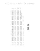 USE OF P3 OF BACTERIOPHAGE FUSION PROTEINS AS AMYLOID BINDING AGENTS diagram and image