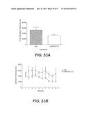 USE OF P3 OF BACTERIOPHAGE FUSION PROTEINS AS AMYLOID BINDING AGENTS diagram and image