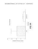 USE OF P3 OF BACTERIOPHAGE FUSION PROTEINS AS AMYLOID BINDING AGENTS diagram and image