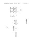 PHOTOACTIVE SILK PROTEIN AND FABRICATION OF SILK PROTEIN STRUCTURES USING     PHOTOLITHOGRAPHY diagram and image