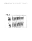 Method for Inducing Formation of Neurons from Embryonal Stem Cells diagram and image