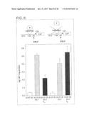 Method for Inducing Formation of Neurons from Embryonal Stem Cells diagram and image