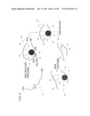 Method for Inducing Formation of Neurons from Embryonal Stem Cells diagram and image