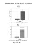 Method for Inducing Formation of Neurons from Embryonal Stem Cells diagram and image