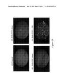 Method for Inducing Formation of Neurons from Embryonal Stem Cells diagram and image