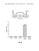 Norrin Mutant Polypeptides, Methods of Making and Uses Thereof diagram and image