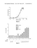 Norrin Mutant Polypeptides, Methods of Making and Uses Thereof diagram and image