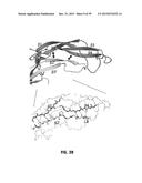 Norrin Mutant Polypeptides, Methods of Making and Uses Thereof diagram and image