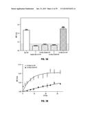 Norrin Mutant Polypeptides, Methods of Making and Uses Thereof diagram and image