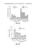 Norrin Mutant Polypeptides, Methods of Making and Uses Thereof diagram and image