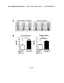 Use of NKG2D Inhibitors for Treating Cardiovascular and Metabolic     Diseases, Such as Type 2 Diabetes diagram and image