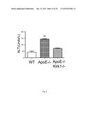 Use of NKG2D Inhibitors for Treating Cardiovascular and Metabolic     Diseases, Such as Type 2 Diabetes diagram and image