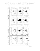 Use of NKG2D Inhibitors for Treating Cardiovascular and Metabolic     Diseases, Such as Type 2 Diabetes diagram and image