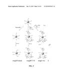 POLYMERS PREPARED USING SMART TEMPLATES diagram and image