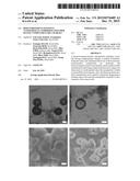 BIOENVIRONMENT-SENSITIVE NANOPARTICLE COMPRISING POLYMER HAVING     COMPLEMENTARY CHARGES diagram and image