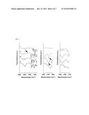 BIOENVIRONMENT-SENSITIVE NANOPARTICLE COMPRISING POLYMER HAVING     COMPLEMENTARY CHARGES diagram and image