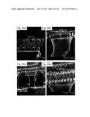 METHODS OF FORMING DRY ADHESIVE STRUCTURES diagram and image