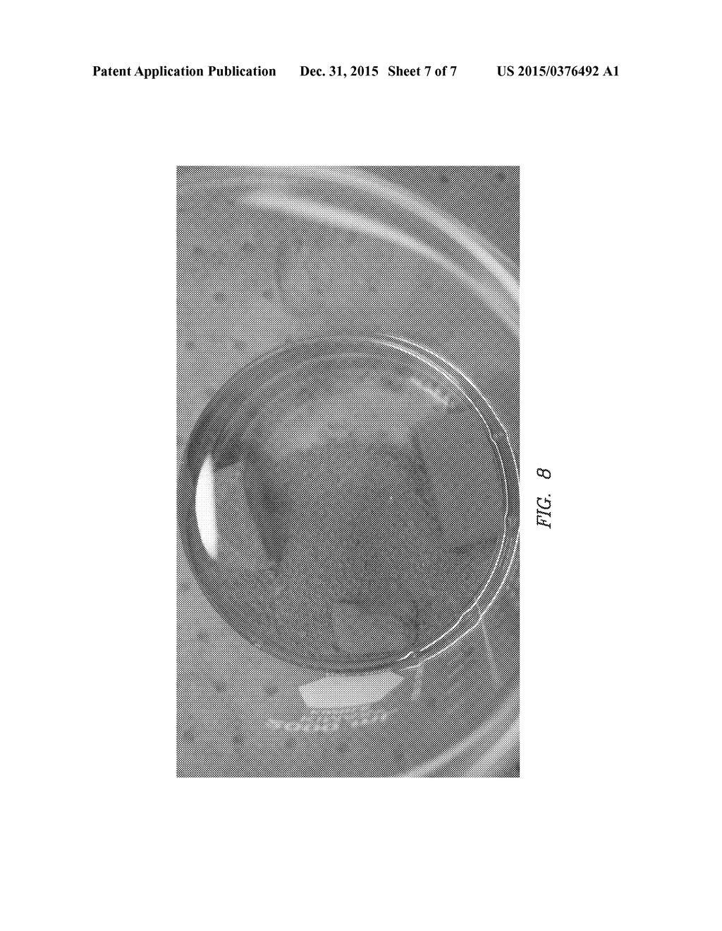 Plugging Composition Using Swellable Glass Additives - diagram, schematic, and image 08