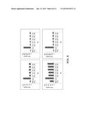 AUTOLOGOUS AND ALLOGENIC ADIPOSE-DERIVED STROMAL STEM CELL COMPOSITION FOR     TREATING FISTULAS diagram and image