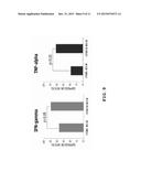 AUTOLOGOUS AND ALLOGENIC ADIPOSE-DERIVED STROMAL STEM CELL COMPOSITION FOR     TREATING FISTULAS diagram and image