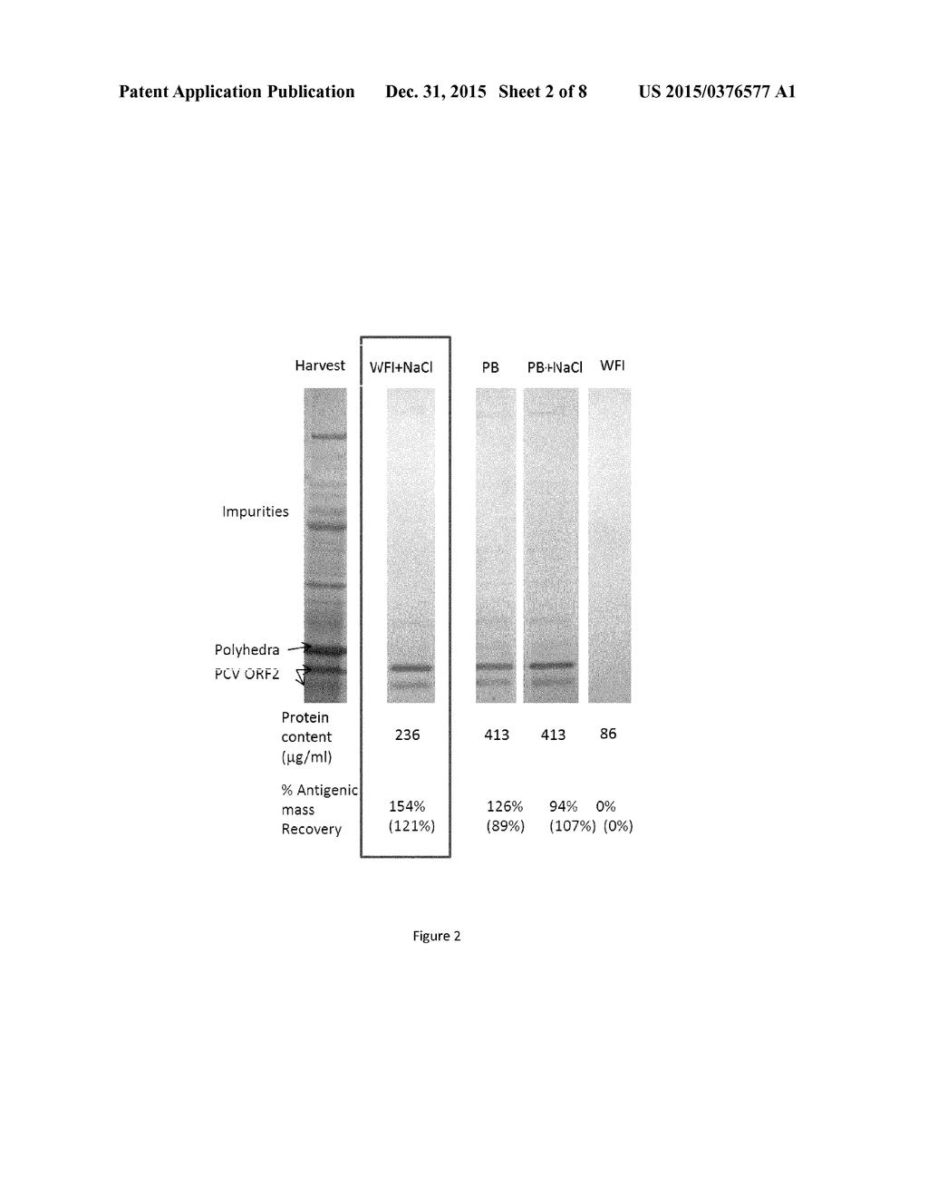 Methods for the Release of Virus-Like Particles - diagram, schematic, and image 03