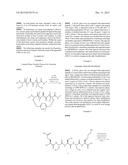 Methods Of Stapling And Unstapling Peptides And Proteins diagram and image