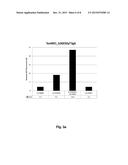 TEVI CHIMERIC ENDONUCLEASE AND THEIR PREFERENTIAL CLEAVAGE SITES diagram and image