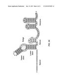 RNA Modification to Engineer Cas9 Activity diagram and image