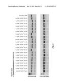 RNA Modification to Engineer Cas9 Activity diagram and image