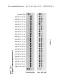 RNA Modification to Engineer Cas9 Activity diagram and image