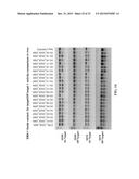 RNA Modification to Engineer Cas9 Activity diagram and image