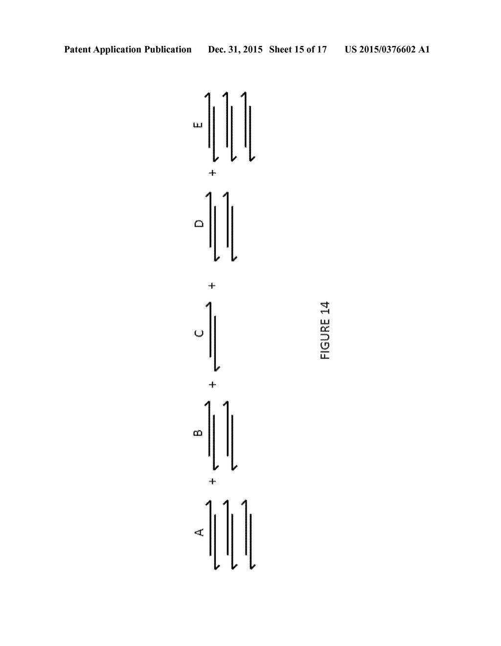 Compositions and Methods for Multiplex Nucleic Acids Synthesis - diagram, schematic, and image 16