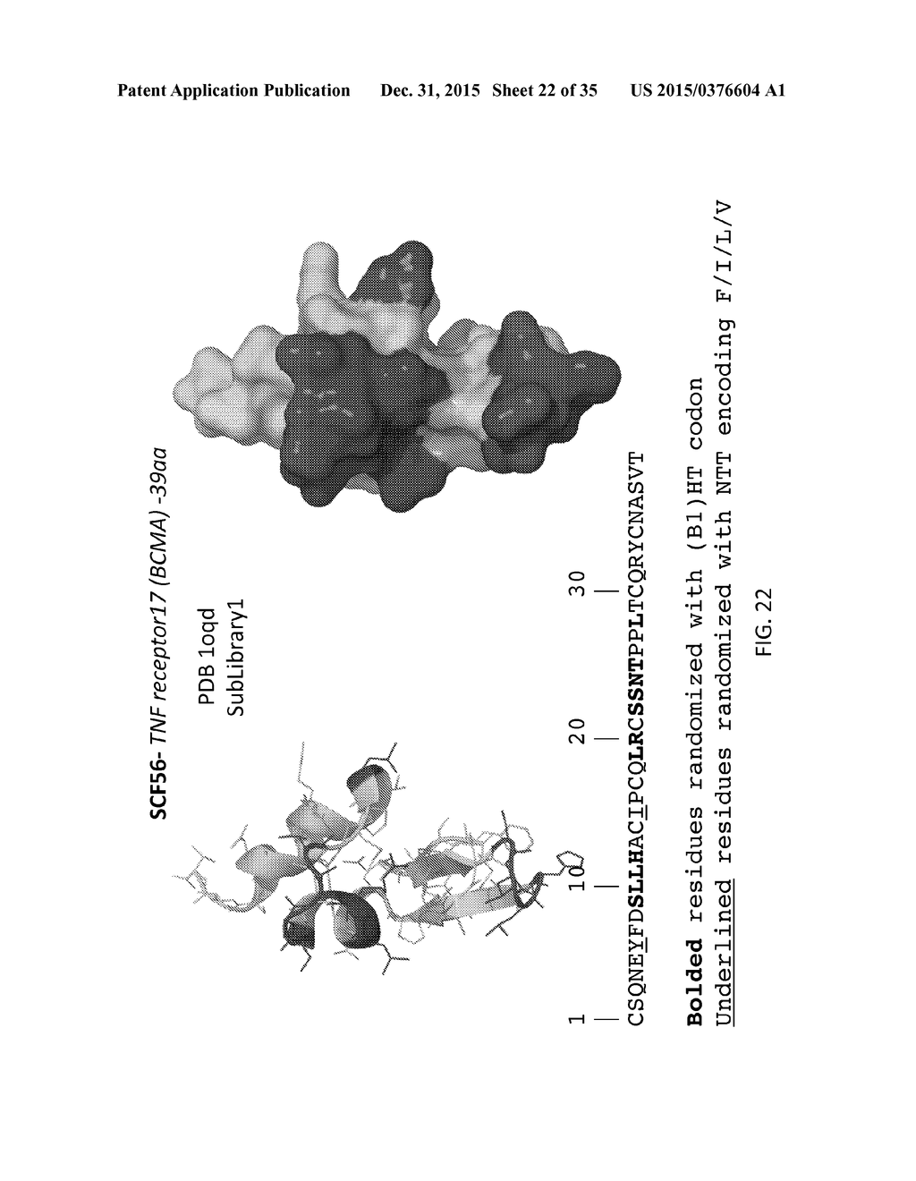 Scaffolded Peptidic Libraries and Methods of Making and Screening the Same - diagram, schematic, and image 23