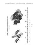 Scaffolded Peptidic Libraries and Methods of Making and Screening the Same diagram and image